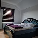 Comfort A&m * Saraybosna