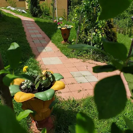 Comfort A&m Apartamento Saraievo